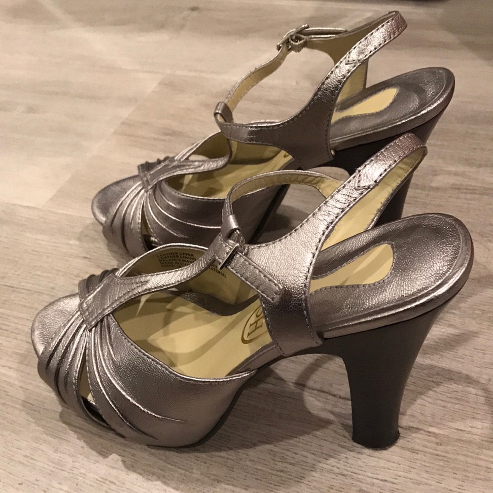 Ash Pumps